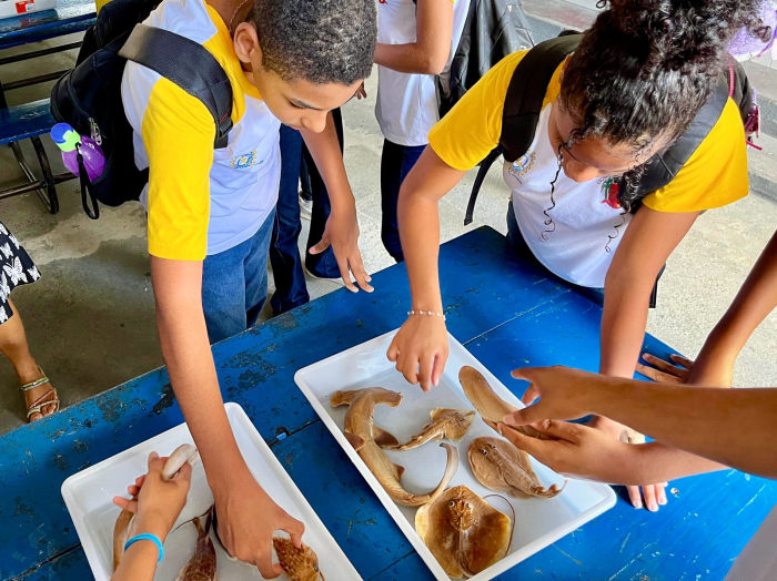 Bamin une operação e desenvolvimento social em projeto integrado na Bahia